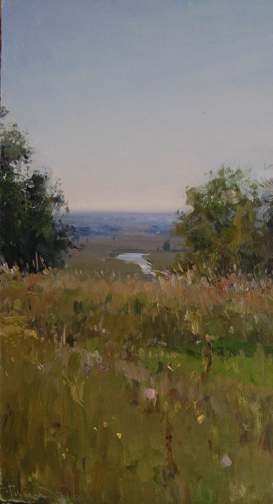 The river Kolomak 40x22 cm