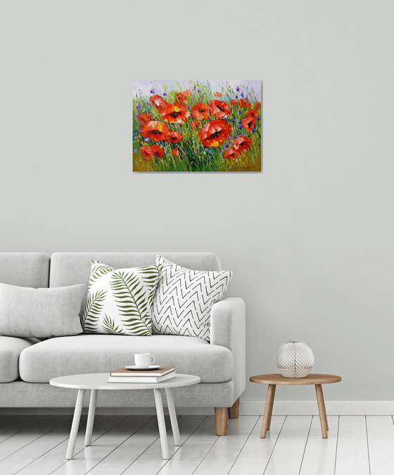 Poppies in bloom