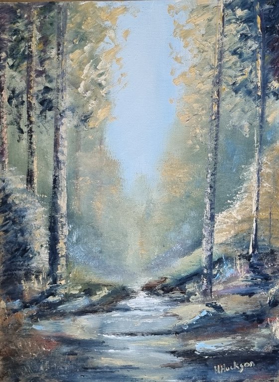Summer Wash Forest