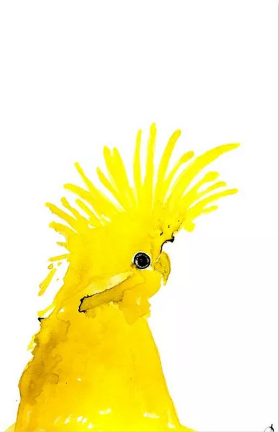 Birds, Set of 6