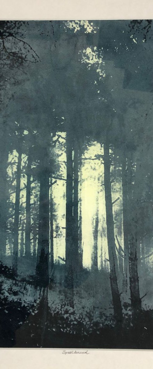 Spellbound by Diane McLellan