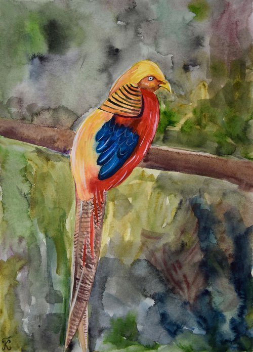 Golden Pheasant Watercolor Painting, Bird Original Artwork, Colorful Wall Art, Slovak Picture, Boho Home Decor by Kate Grishakova