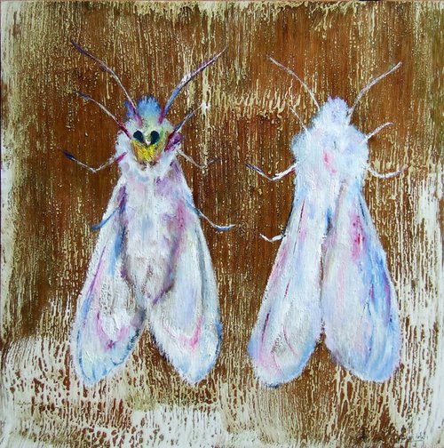 Virginian Tiger Moth by Anna Sidi-Yacoub