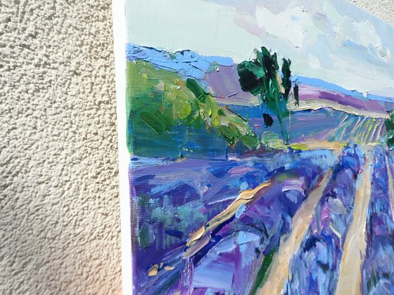 "  lavender "