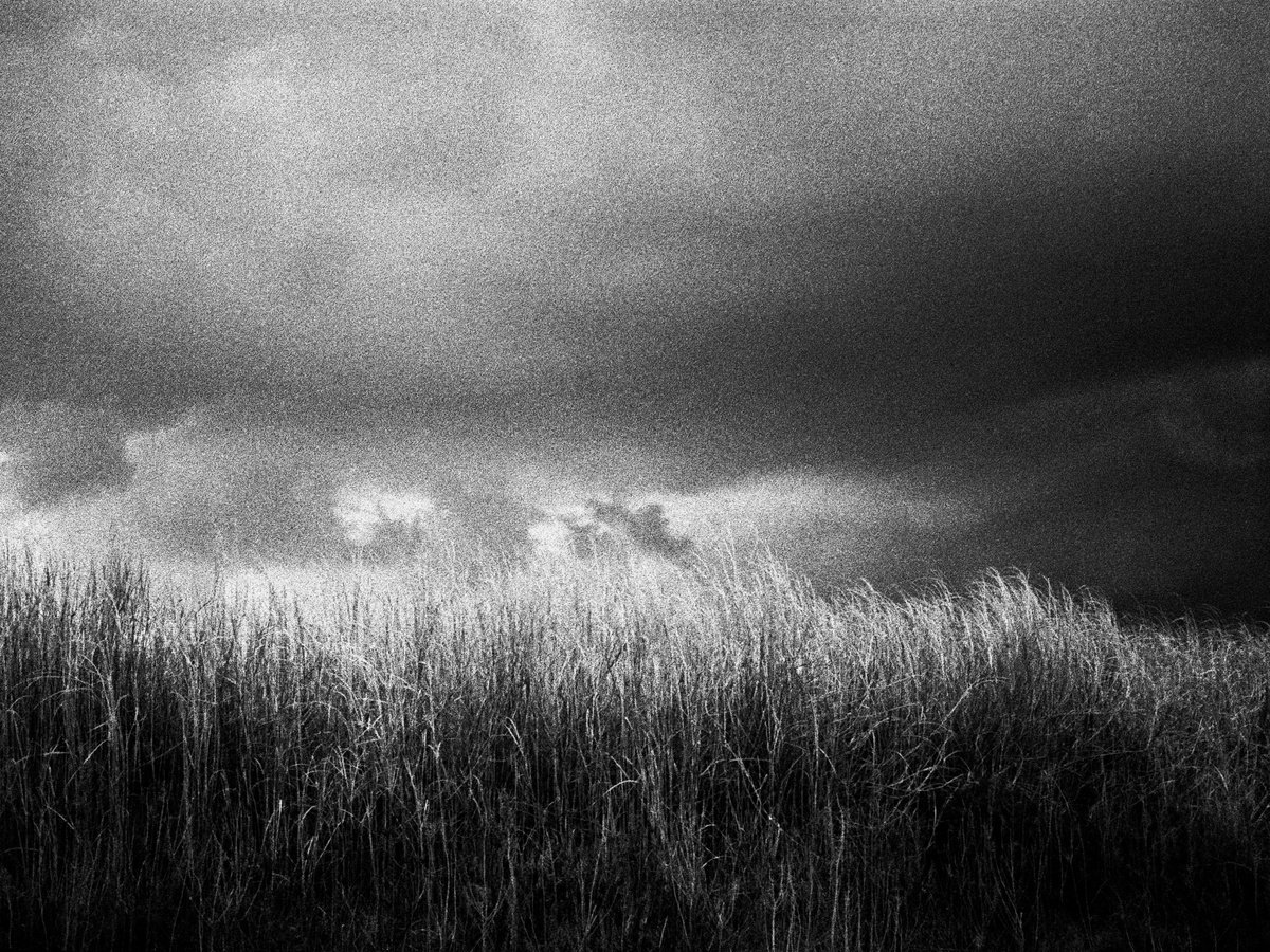 Photorealistic Landscape Photograph By Federico Arcangeli, 17 X 13, Untitled - Splinters #2, Original Artwork