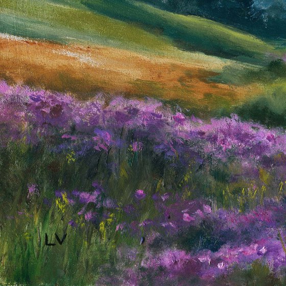 Purple flowers in the meadow