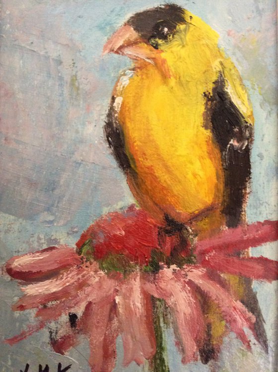 Yellow Bird In Garden