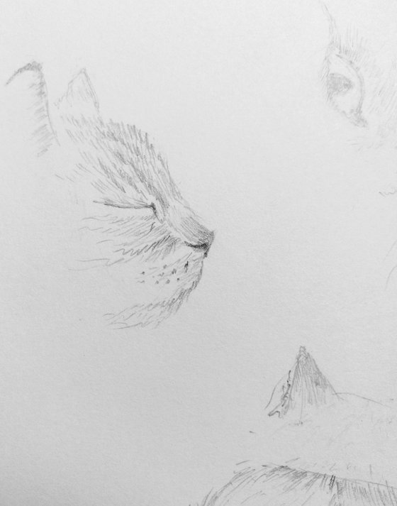 Cats. Original pencil drawing.