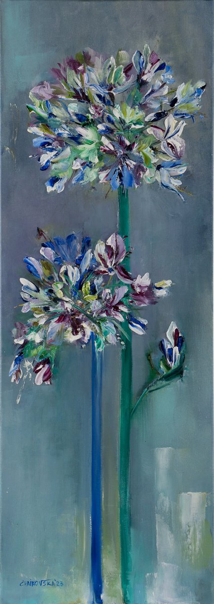 AGAPANTHUS, Oil on canvas panel by Svetlana Caikovska