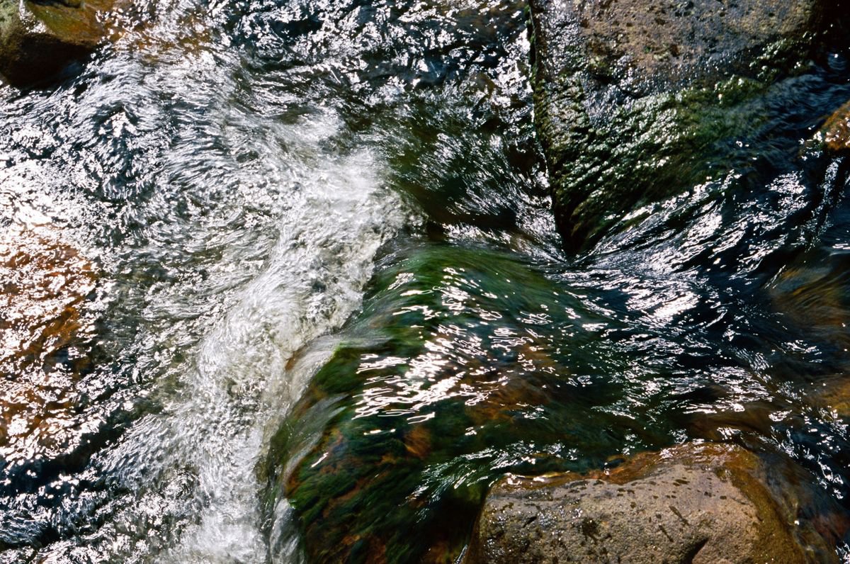 Organic Abstract Photograph By Justice Hyde, 36 X 24", Water 3 - Unmounted, Original Artwork