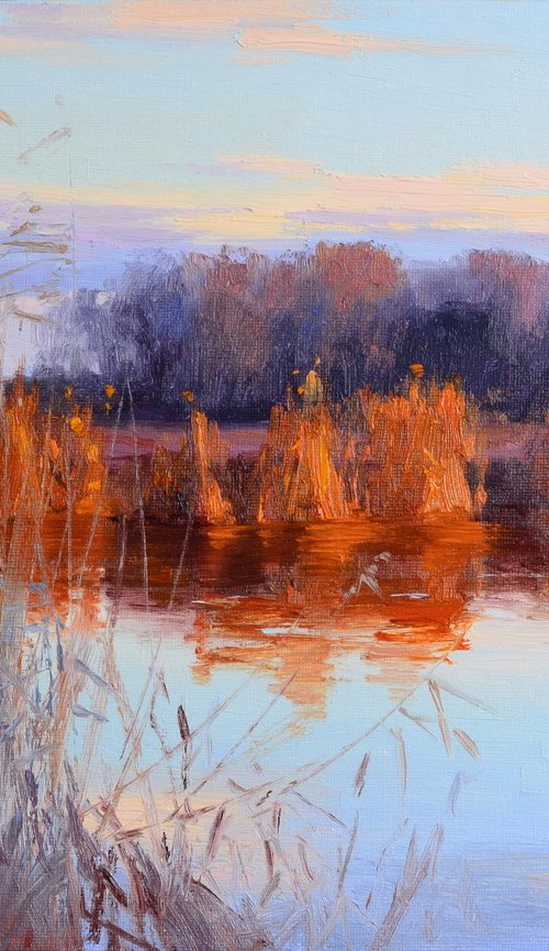 Reeds in the sunset by Ruslan Kiprych