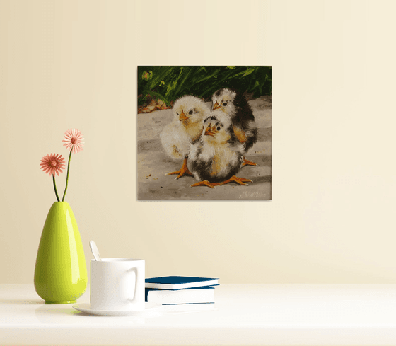 Fluffy Chicks in Sunlight