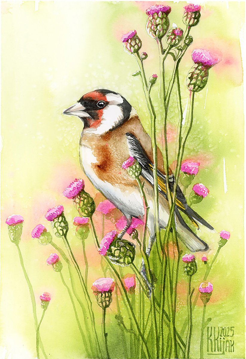 Watercolour , Goldfinch By Karolina Kijak, 8 X 12, Artwork For Sale On Artfinder