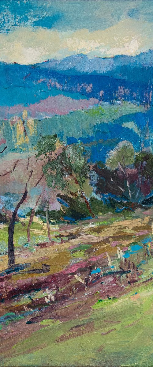 Spring landscape by Tiana Rybar