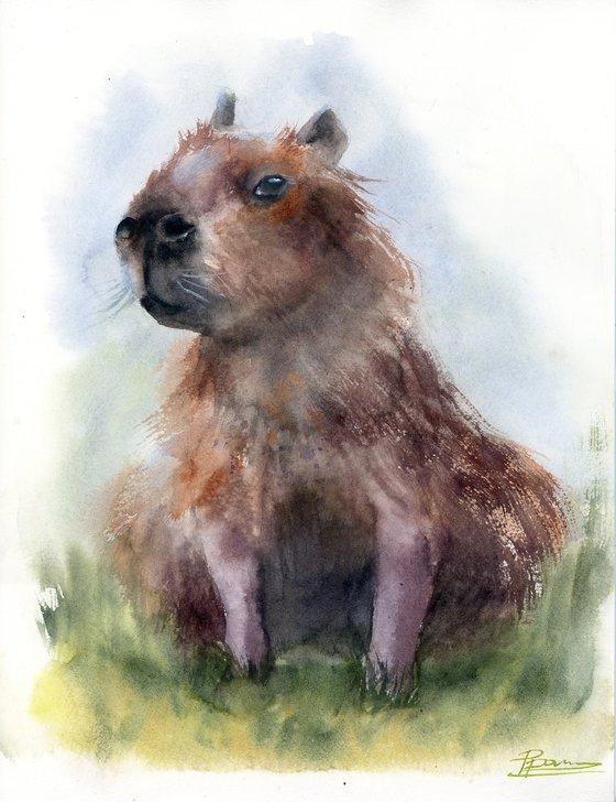 Capybara #1