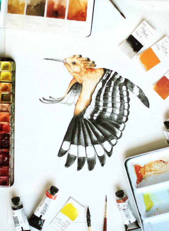 Hoopoe, wildlife, birds watercolours