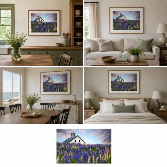 Lupine Field, Whitefield, Maine, 61 x 41