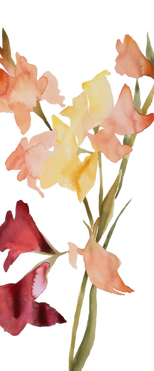 Gladiolus No. 1 by Elizabeth Becker