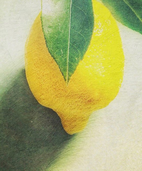 LEMON WITH LEAVES