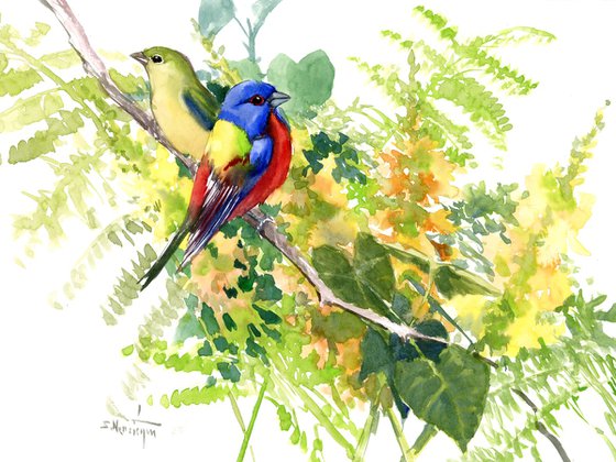 Painted bunting