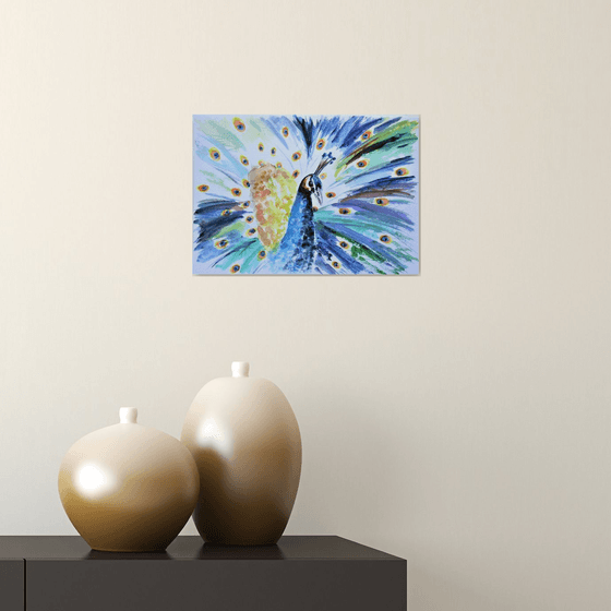 Peacock splendour