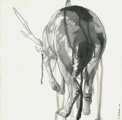 Deer by Ricardo Machado
