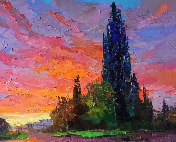 Morning After the Rain