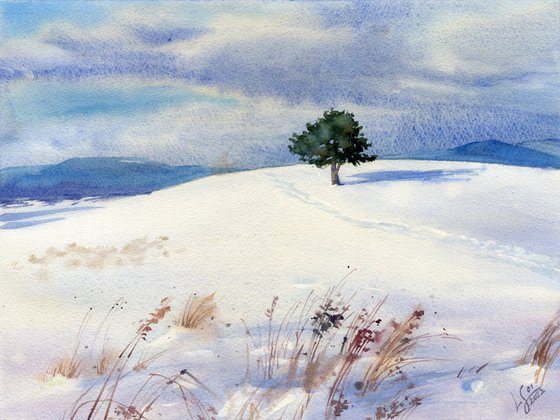 Sunny winter day. Lonely pine tree on a snowy field