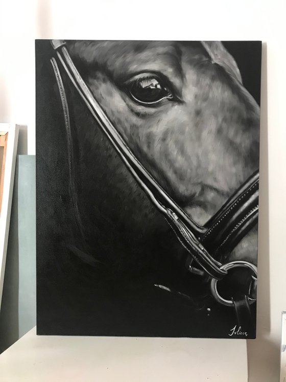 Oil painting with horse 'Night' 60*80 cm