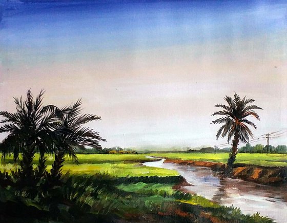 Rural River & Palm Trees