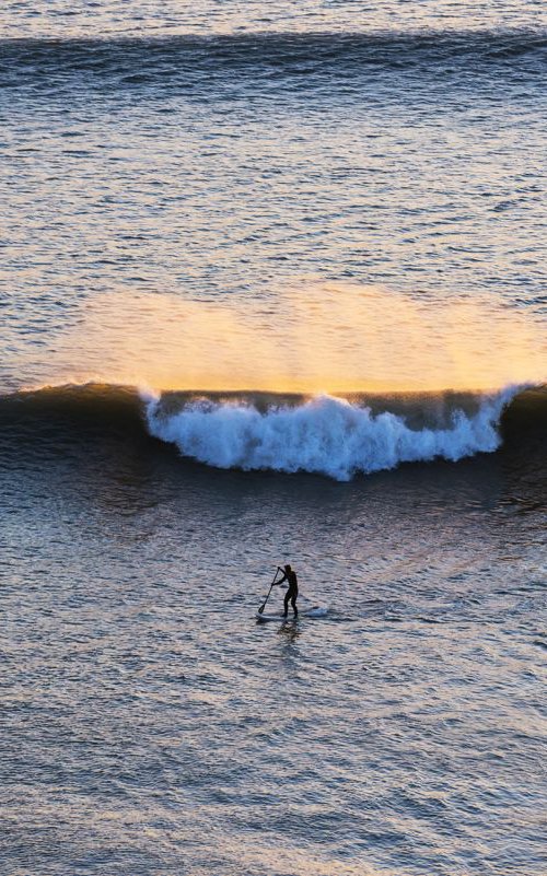 ROGUE WAVE by Andrew Lever