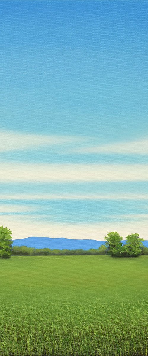 Fresh Day - Blue Sky by Suzanne Vaughan