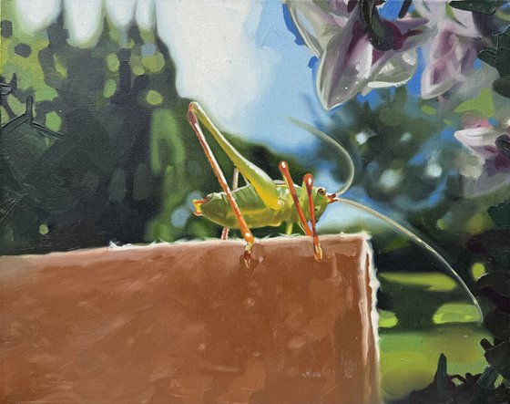 Grass hopper