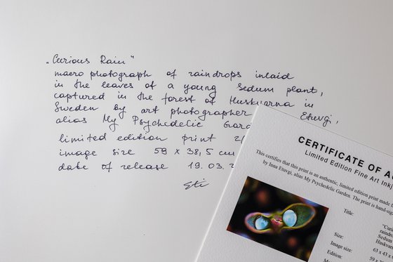 CURIOUS RAIN - master edition