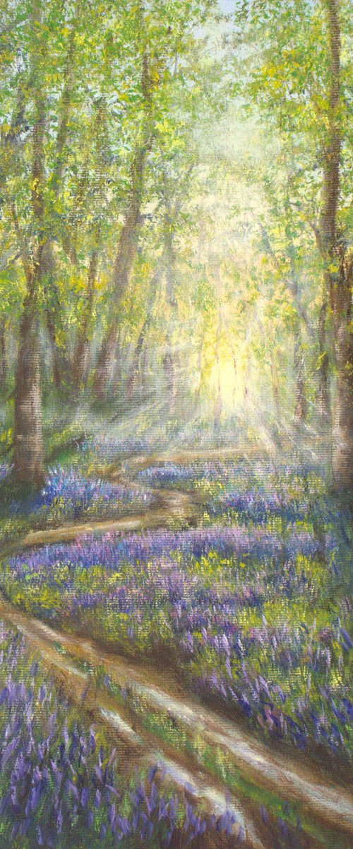 Bluebells forest by Ludmilla Ukrow