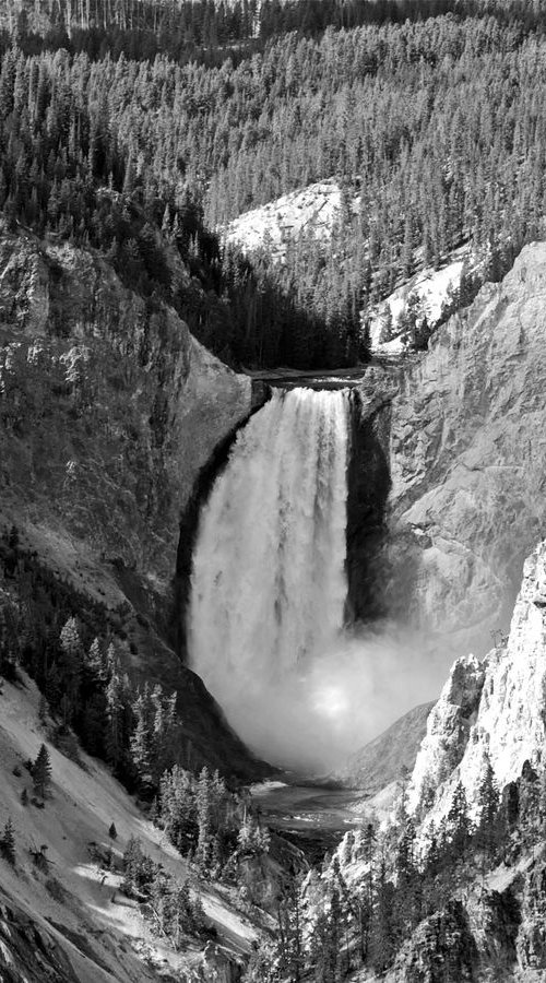 The Lower Yellowstone Falls by Alex Cassels