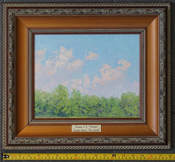 Clouds. Botanical Garden