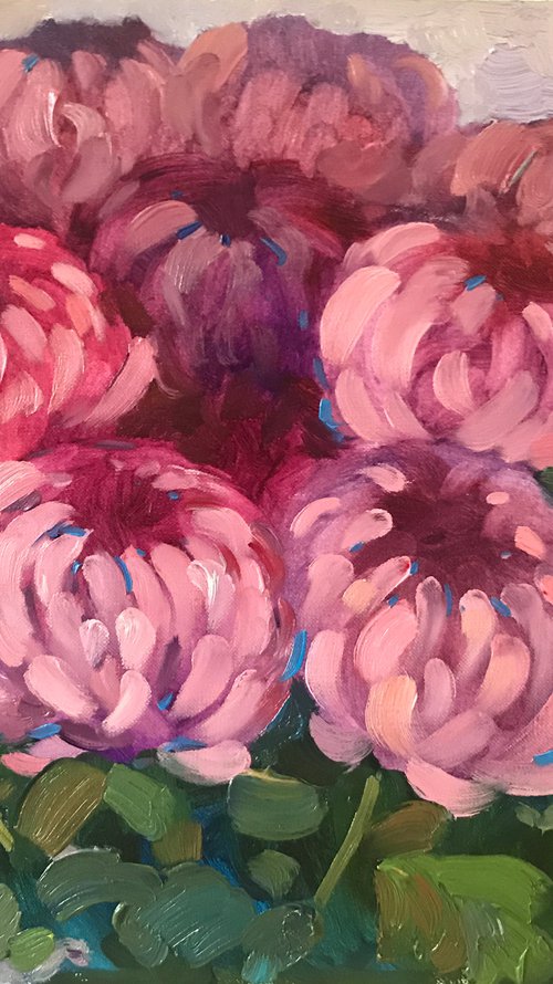 Pink chrysanthemums by Yuliia Pastukhova