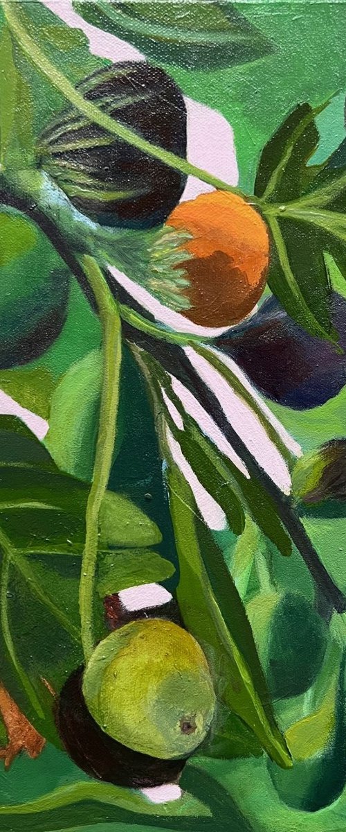 Figmania by MaryAnne McKernie