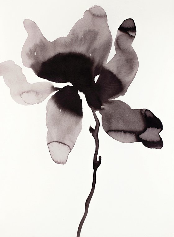 Magnolia No. 46