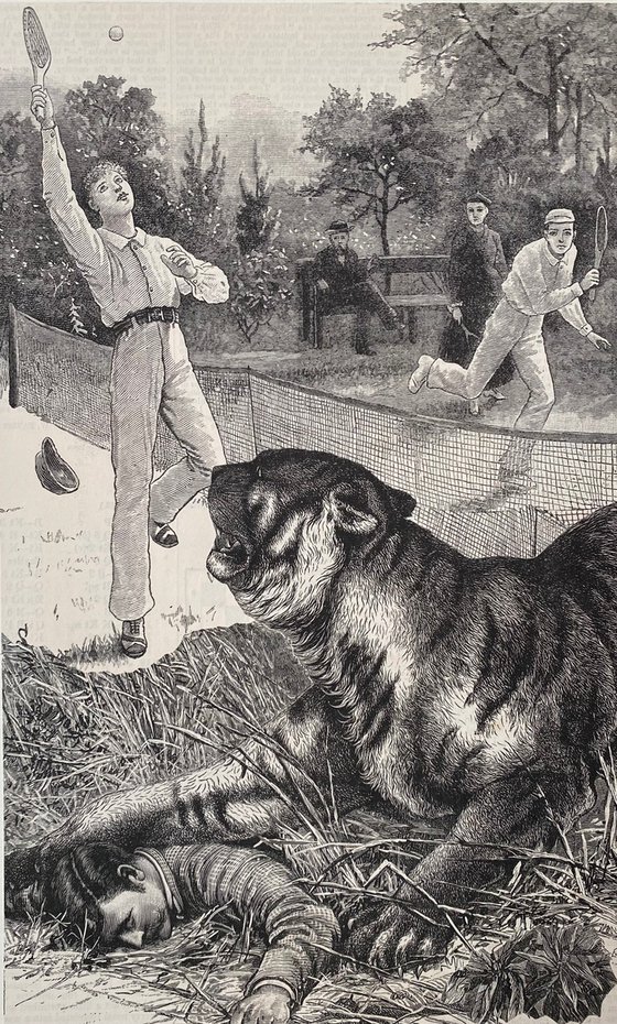 Tiger at the tennis match