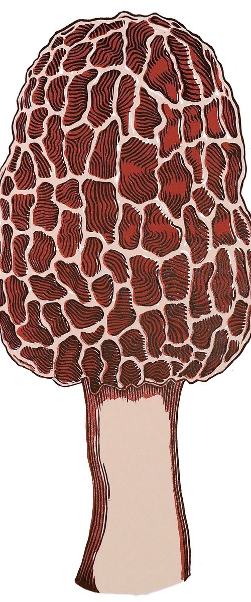 Morel by Francis Stanton