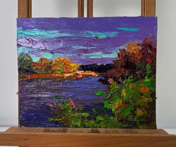 Autumn Colors in Warm Evening Light