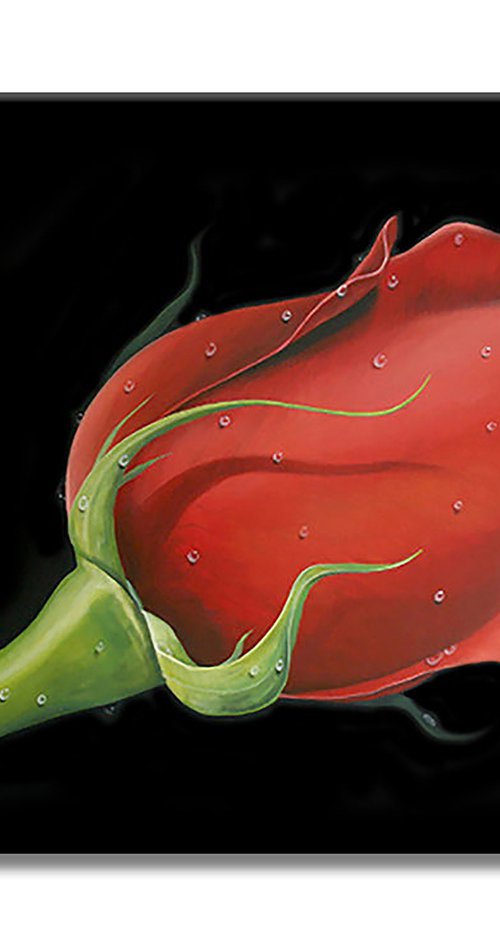 Red Rose by Gardani Art