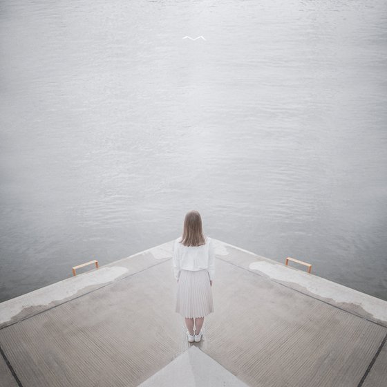 Give me Wings and I will Fly