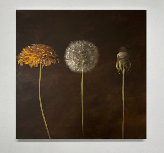 Dandelions