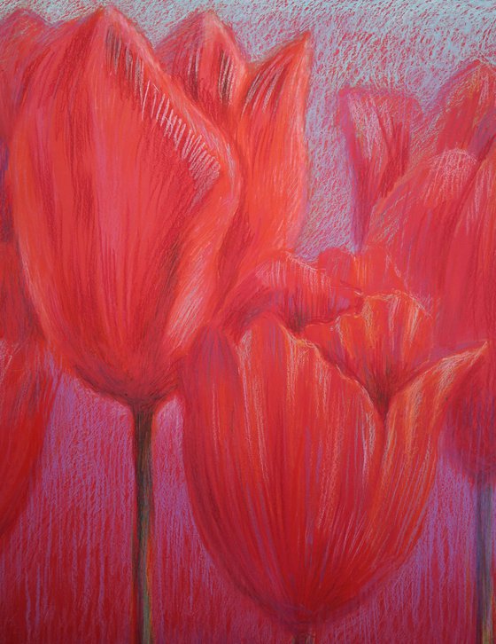 Red Tulips on Red