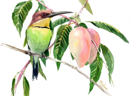 Chestnut Headed Bee Eater and Mango Tree by Suren Nersisyan