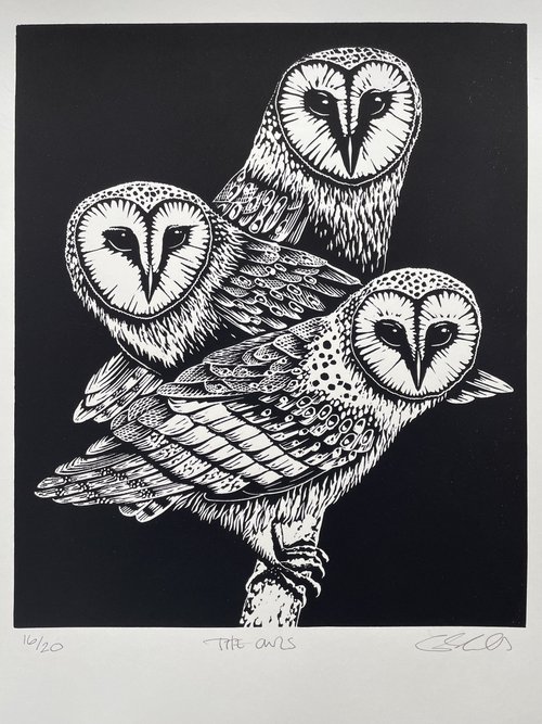 The Owls by Gerry Coles