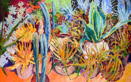 Succulents and Cactuses